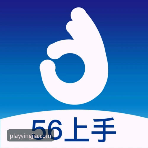 盈嘉体育平台快速安装实用指南：从下载到上手的全流程解析